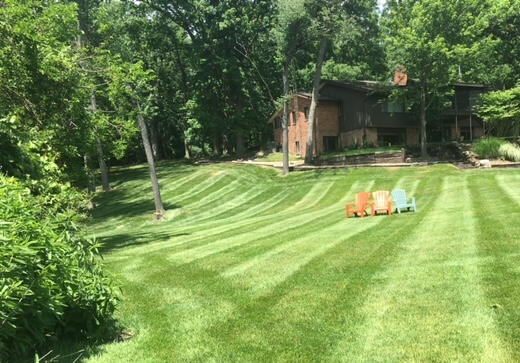 Mowing Services