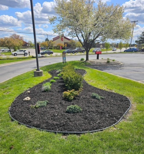 Mulch Installation